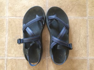 what the difference between chaco z1 and z2